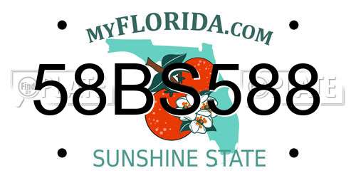 58BS588 Florida License Plate