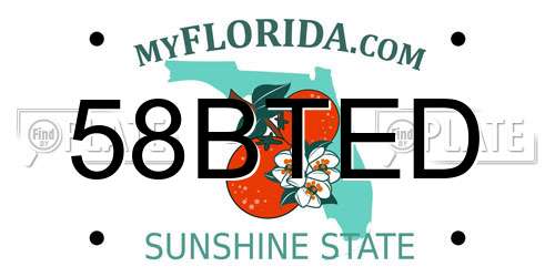 58BTED Florida License Plate
