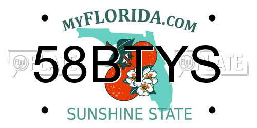 58BTYS Florida License Plate