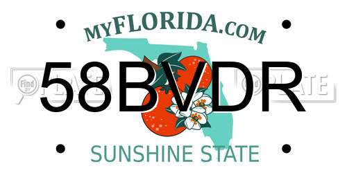 58BVDR Florida License Plate