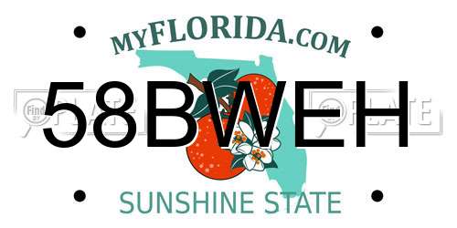58BWEH Florida License Plate