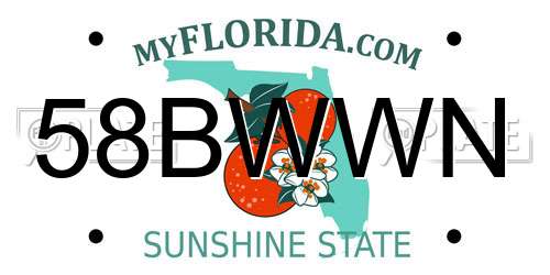 58BWWN Florida License Plate