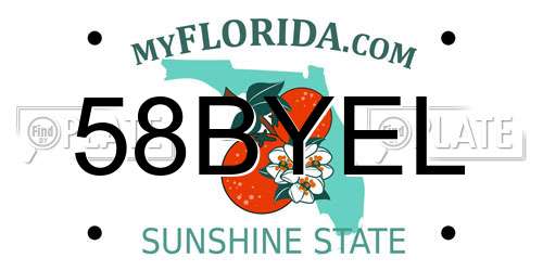58BYEL Florida License Plate