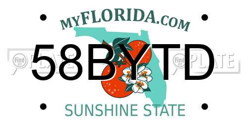 58BYTD Florida License Plate