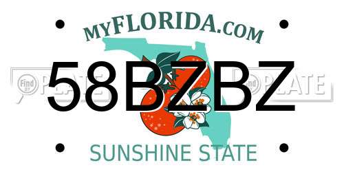 58BZBZ Florida License Plate