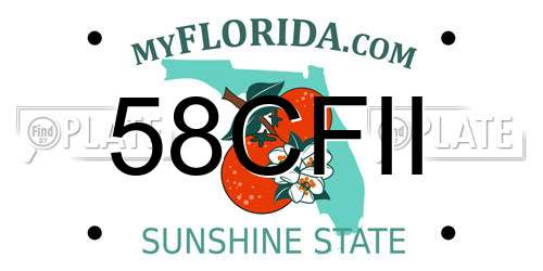 58CFII Florida License Plate
