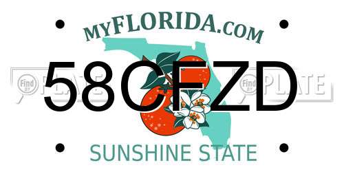 58CFZD Florida License Plate