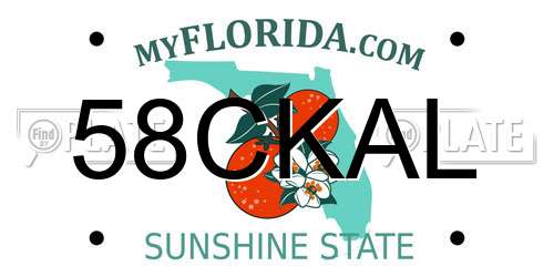 58CKAL Florida License Plate