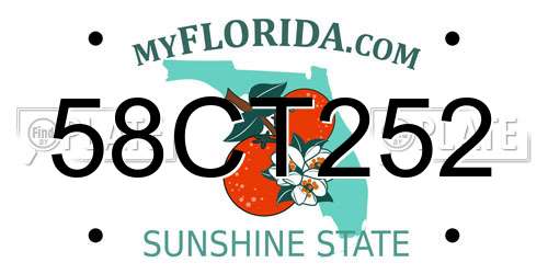 58CT252 Florida License Plate