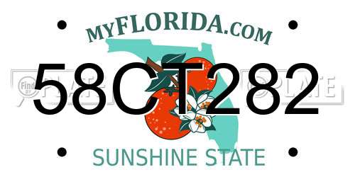 58CT282 Florida License Plate