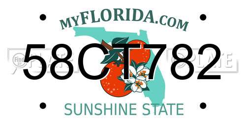 58CT782 Florida License Plate