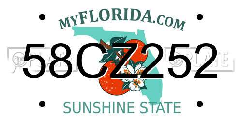 58CZ252 Florida License Plate
