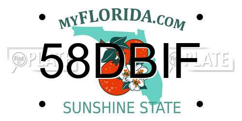 58DBIF Florida License Plate