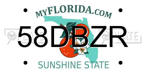 58DBZR Florida License Plate