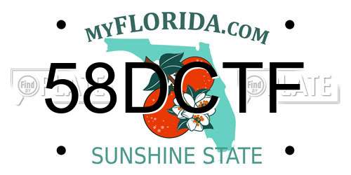 58DCTF Florida License Plate
