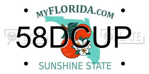 58DCUP Florida License Plate