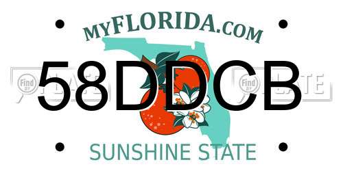 58DDCB Florida License Plate