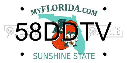58DDTV Florida License Plate