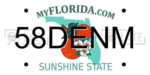 58DENM Florida License Plate