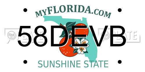 58DEVB Florida License Plate