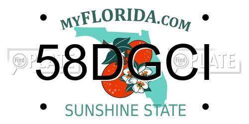 58DGCI Florida License Plate