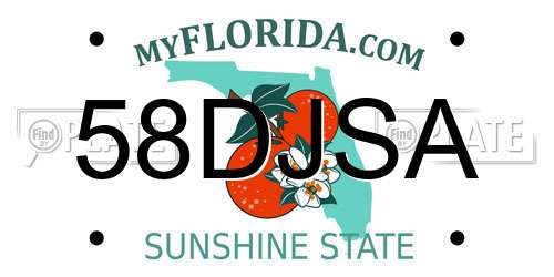 58DJSA Florida License Plate
