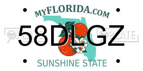 58DLGZ Florida License Plate