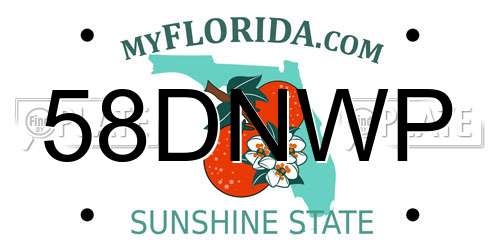 58DNWP Florida License Plate