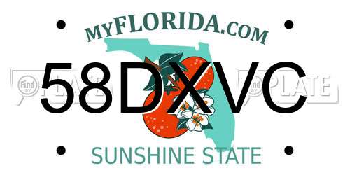 58DXVC Florida License Plate