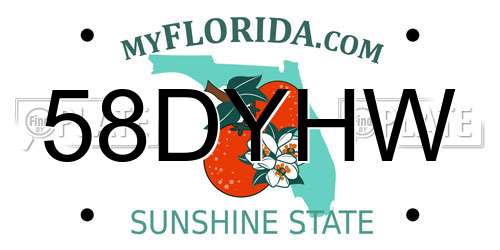 58DYHW Florida License Plate