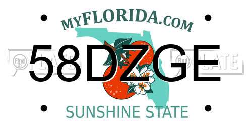 58DZGE Florida License Plate