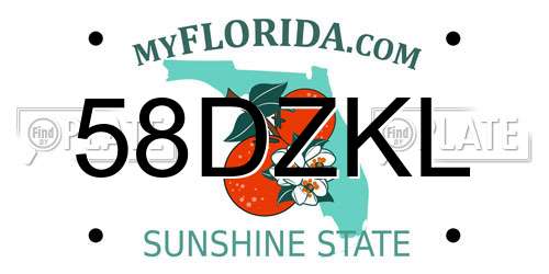 58DZKL Florida License Plate