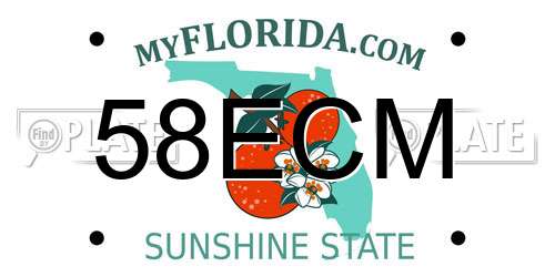 58ECM Florida License Plate
