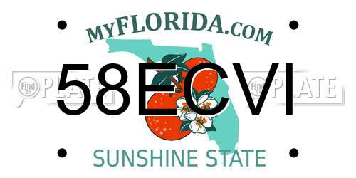 58ECVI Florida License Plate