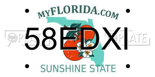 58EDXI Florida License Plate