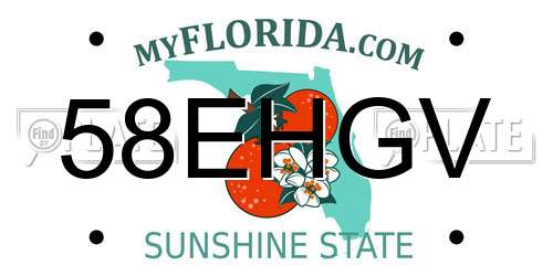 58EHGV Florida License Plate