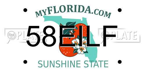 58EILF Florida License Plate
