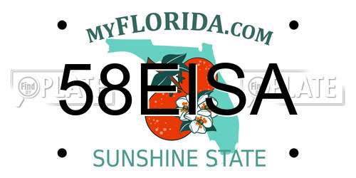 58EISA Florida License Plate