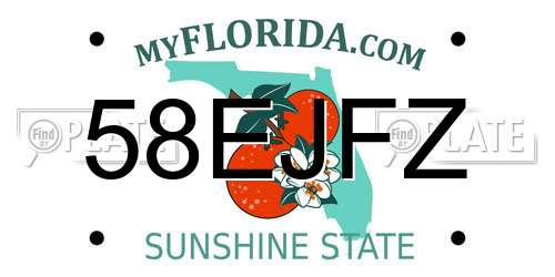 58EJFZ Florida License Plate