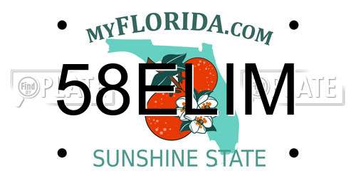 58ELIM Florida License Plate
