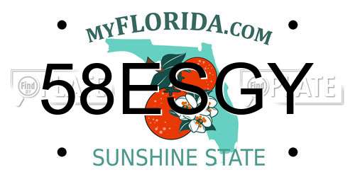58ESGY Florida License Plate
