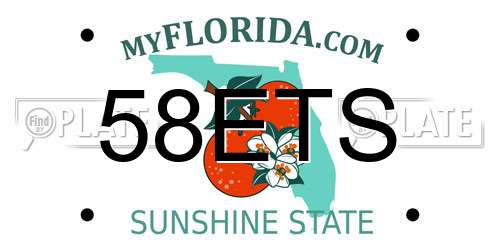 58ETS Florida License Plate