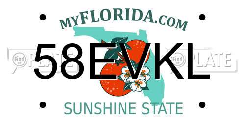 58EVKL Florida License Plate