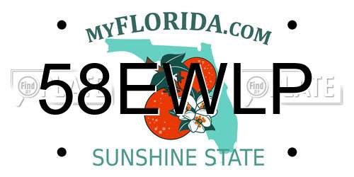 58EWLP Florida License Plate