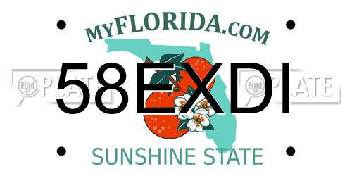 58EXDI Florida License Plate
