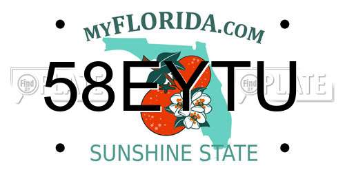 58EYTU Florida License Plate