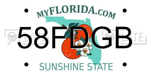 58FDGB Florida License Plate