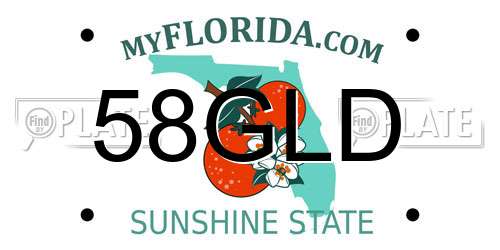 58GLD Florida License Plate
