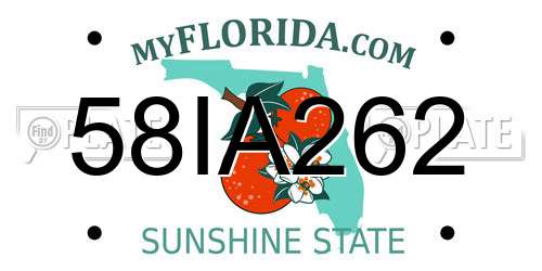 58IA262 Florida License Plate
