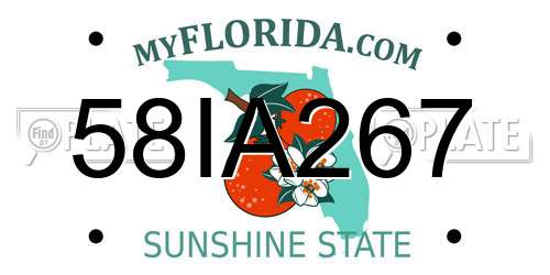 58IA267 Florida License Plate